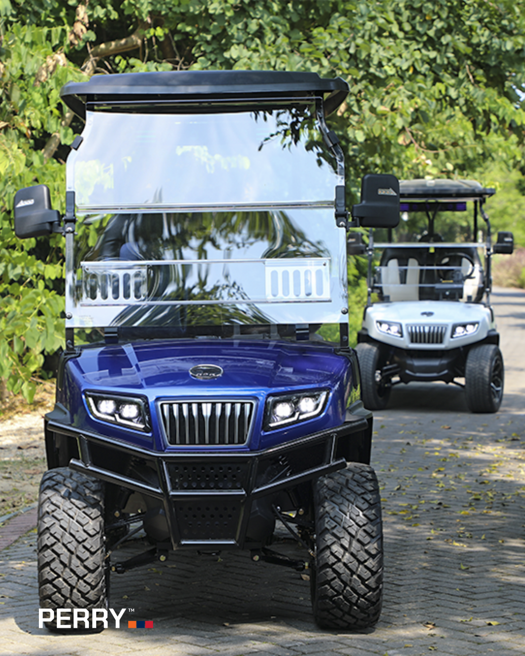 Discover the Evolution Golf Cart Range: Premium Features, Versatile Use & Exceptional Value