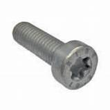 HEXAGON HEAD SCREW WITH INNER TORX WITH COLLAR