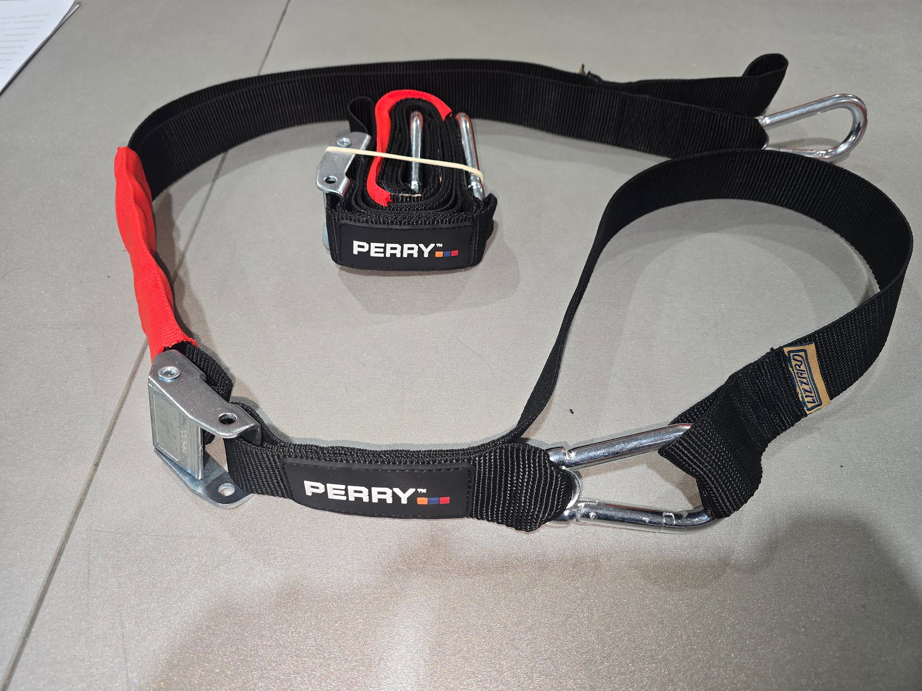 LIZZARD TIE DOWNS SET CUSTOM PERRY BIKES
