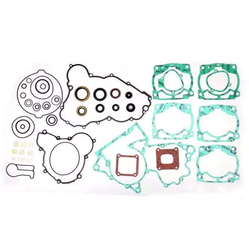 SEAL KIT ENGINE 250/300
