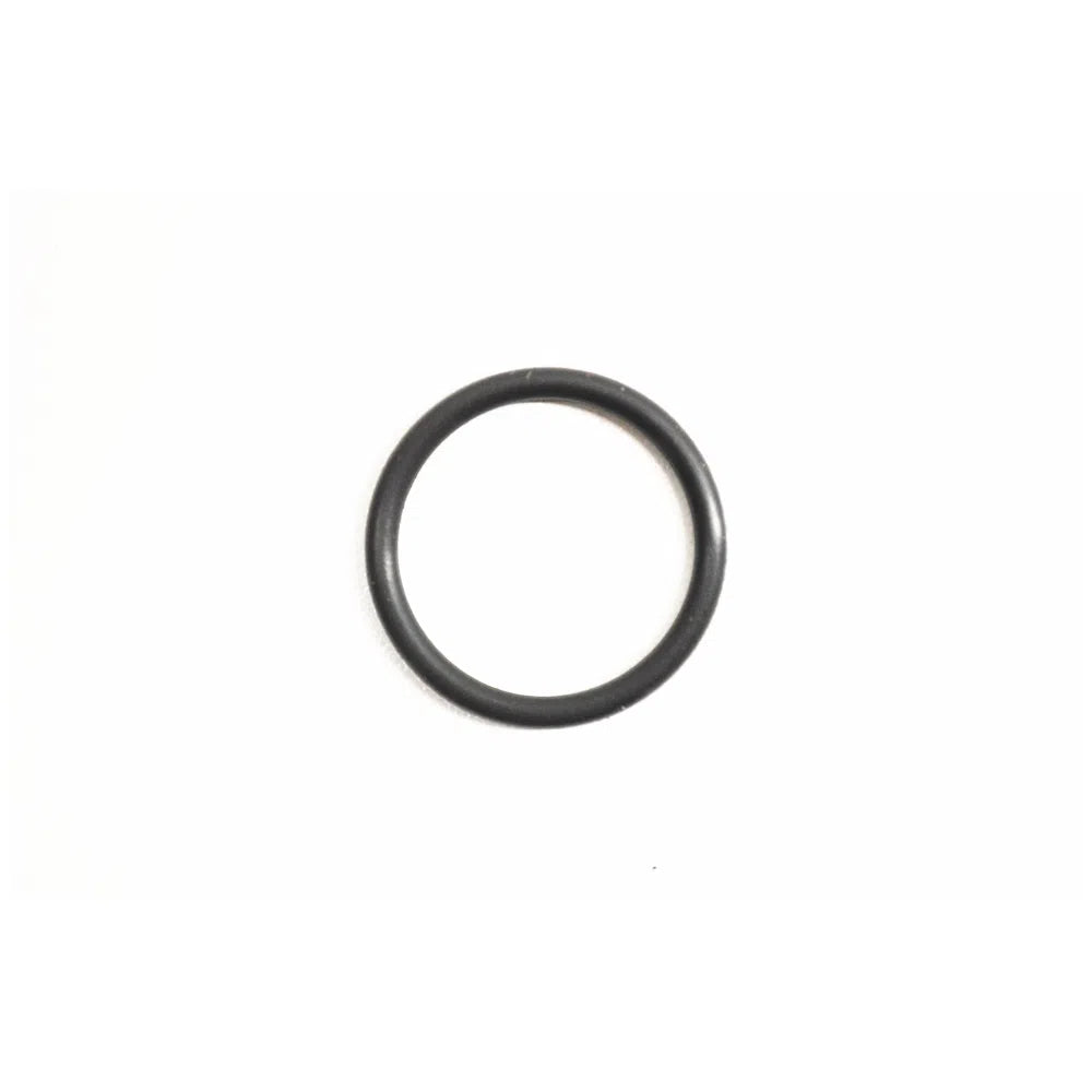 O-RING 0770220025