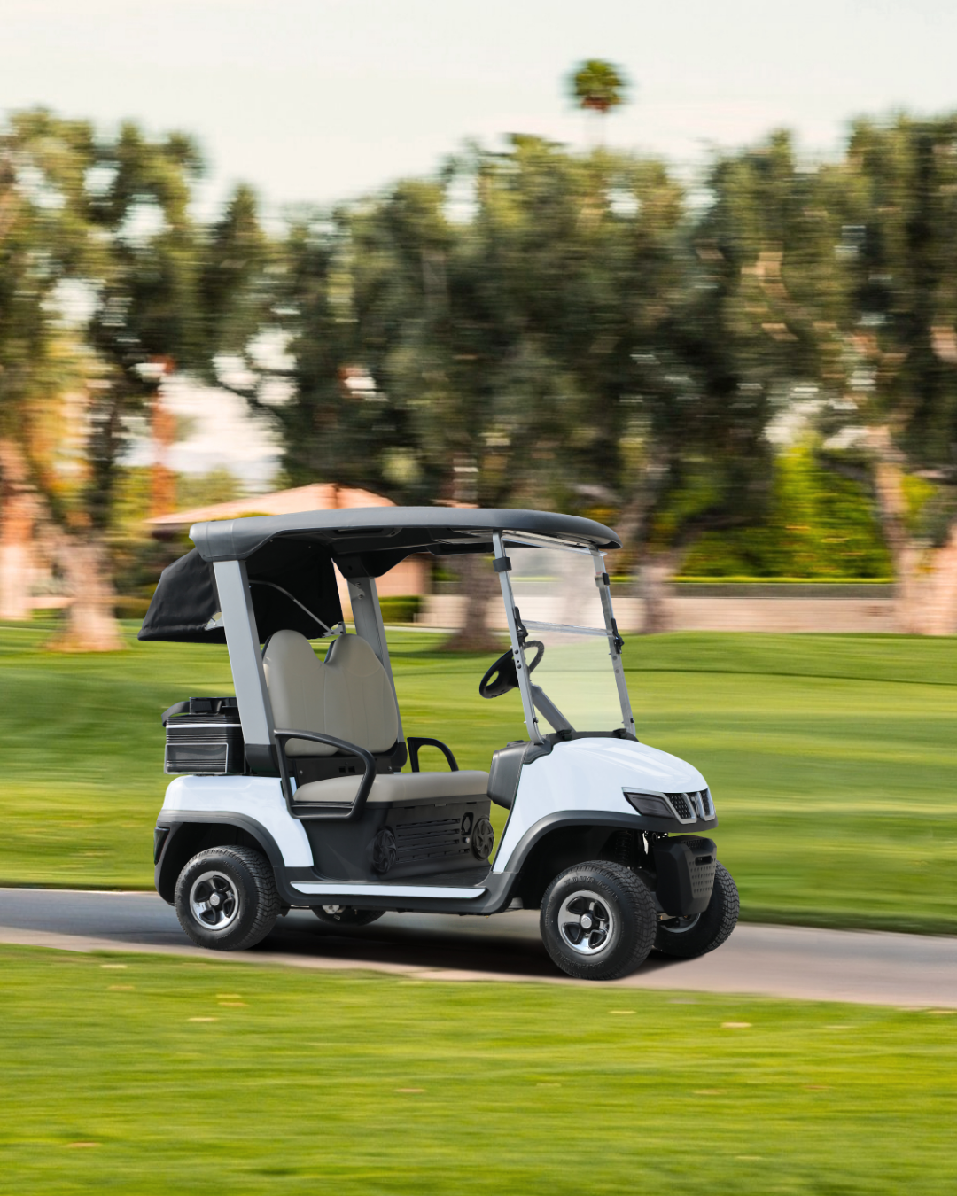 Drive Your Game Forward: Discover the New TARA Spirit Pro Golf Cart at PERRY