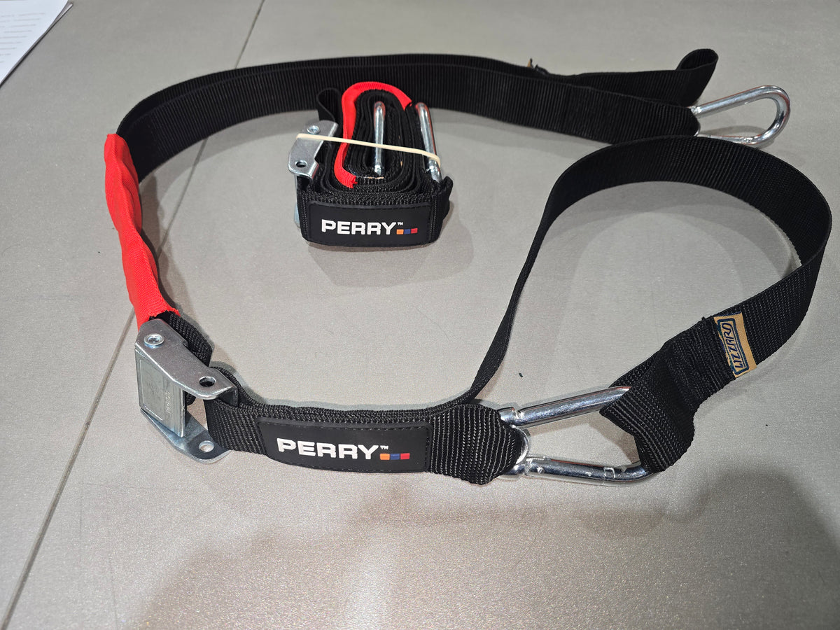 LIZZARD TIE DOWNS SET CUSTOM PERRY BIKES