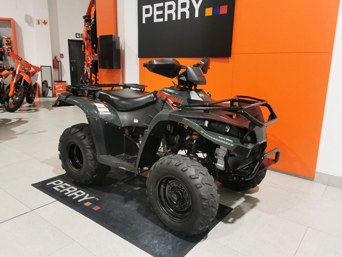 2021 LINHAI 300/4X4