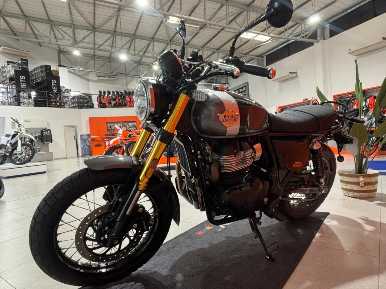 2025 Royal Enfield Bear Interceptor 650