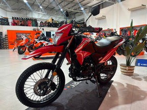 2025 Big Boy TSR 250