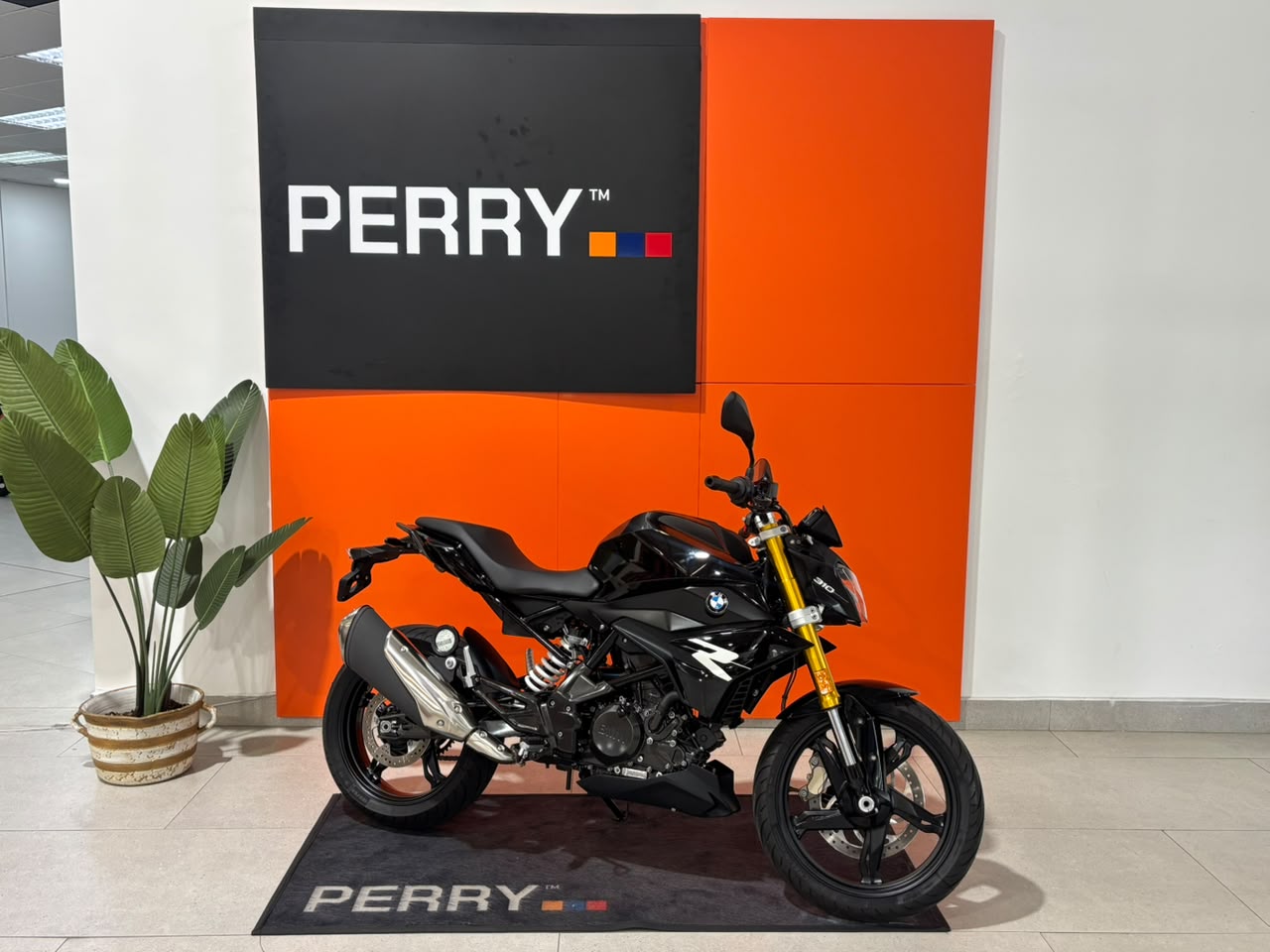 2025 BMW G310R