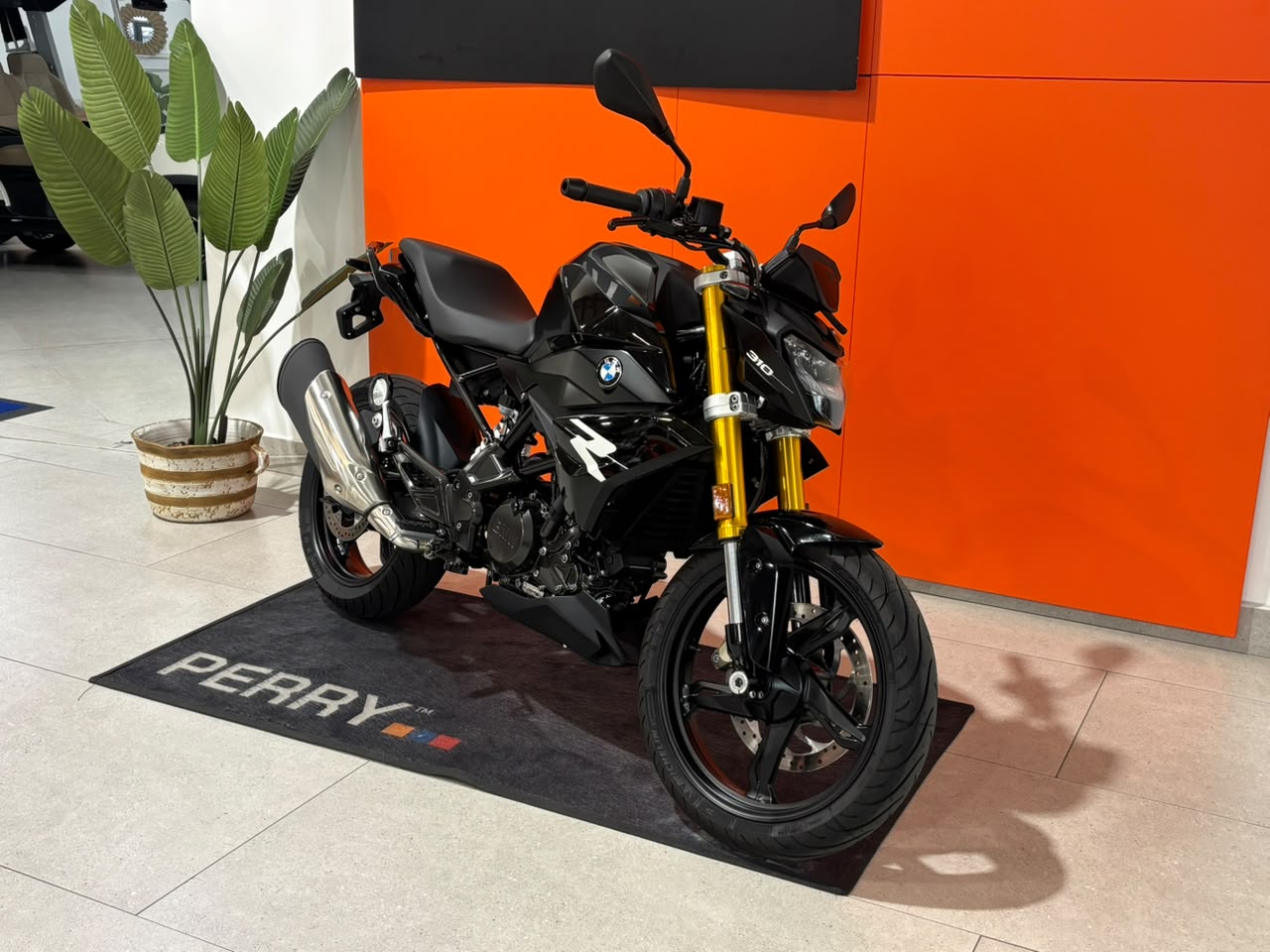 2025 BMW G310R