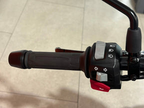 2025 BMW G310R