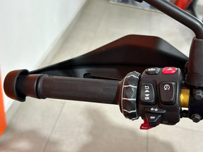 2026 BMW F450GS